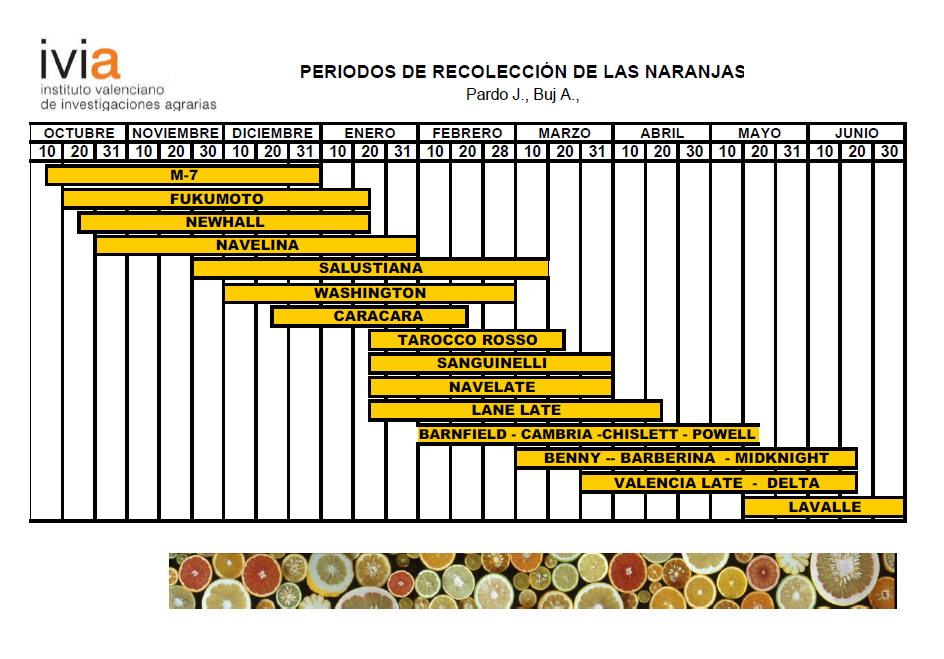 calendario naranjas